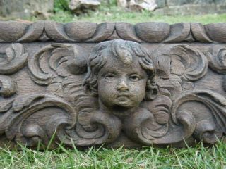 18thc Oak Panel With Cherub Carved Centrally & Squirrel To Each End