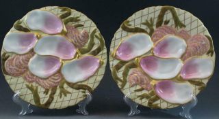 Pr 19c German Porcelain Oyster Plates W/ Seaweed Pink & Gold Collamore & Co 3/3