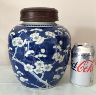 19th C Chinese Kangxi Marks Blue And White Prunus Porcelain Jar - Height 7 "