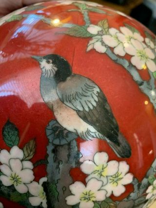 LARGE Antique Japanese Cloisonne Round Lidded Jar.  Meijii 10