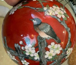 Large Antique Japanese Cloisonne Round Lidded Jar.  Meijii