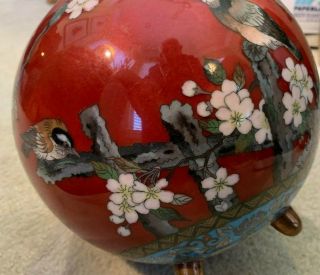 LARGE Antique Japanese Cloisonne Round Lidded Jar.  Meijii 3