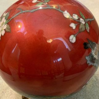 LARGE Antique Japanese Cloisonne Round Lidded Jar.  Meijii 5