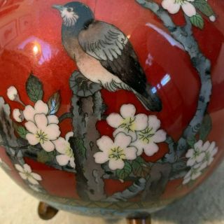 LARGE Antique Japanese Cloisonne Round Lidded Jar.  Meijii 6