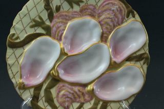 Pr 19C German Porcelain Oyster Plates w/ Seaweed Pink & Gold Collamore & Co 2/3 10