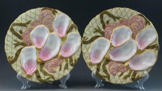 Pr 19c German Porcelain Oyster Plates W/ Seaweed Pink & Gold Collamore & Co 2/3