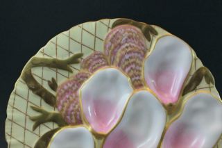 Pr 19C German Porcelain Oyster Plates w/ Seaweed Pink & Gold Collamore & Co 2/3 3