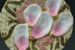 Pr 19C German Porcelain Oyster Plates w/ Seaweed Pink & Gold Collamore & Co 2/3 4