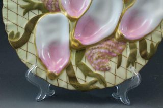 Pr 19C German Porcelain Oyster Plates w/ Seaweed Pink & Gold Collamore & Co 2/3 5