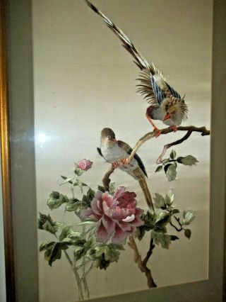 Pair Antique Chinese Embroidered White Silk Panels Framed BIRDS GORGEOUS 2