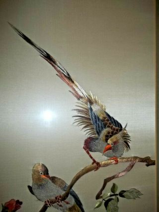 Pair Antique Chinese Embroidered White Silk Panels Framed BIRDS GORGEOUS 5