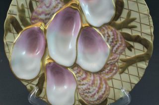 Pr 19C German Porcelain Oyster Plates w/ Seaweed Pink & Gold Collamore & Co 1/3 10