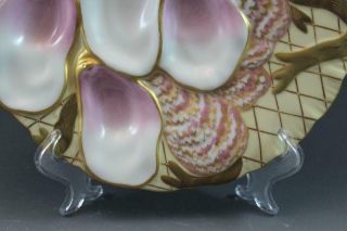 Pr 19C German Porcelain Oyster Plates w/ Seaweed Pink & Gold Collamore & Co 1/3 11