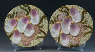 Pr 19c German Porcelain Oyster Plates W/ Seaweed Pink & Gold Collamore & Co 1/3