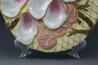 Pr 19C German Porcelain Oyster Plates w/ Seaweed Pink & Gold Collamore & Co 1/3 5