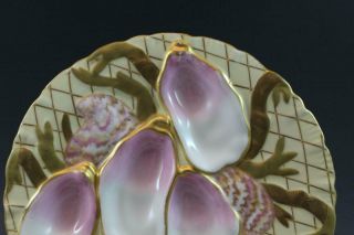 Pr 19C German Porcelain Oyster Plates w/ Seaweed Pink & Gold Collamore & Co 1/3 9