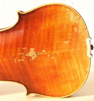 old violin 4/4 geige viola cello fiddle label POLLASTRI GAETANO 10