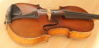 old violin 4/4 geige viola cello fiddle label POLLASTRI GAETANO 11