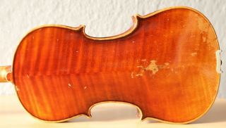 Old Violin 4/4 Geige Viola Cello Fiddle Label Pollastri Gaetano