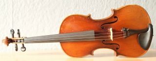 old violin 4/4 geige viola cello fiddle label POLLASTRI GAETANO 2