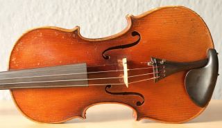 old violin 4/4 geige viola cello fiddle label POLLASTRI GAETANO 3