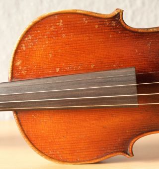 old violin 4/4 geige viola cello fiddle label POLLASTRI GAETANO 4