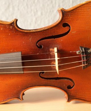 old violin 4/4 geige viola cello fiddle label POLLASTRI GAETANO 5