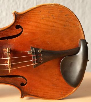 old violin 4/4 geige viola cello fiddle label POLLASTRI GAETANO 6