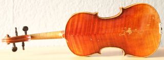 old violin 4/4 geige viola cello fiddle label POLLASTRI GAETANO 7