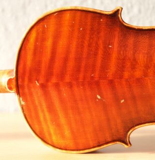 old violin 4/4 geige viola cello fiddle label POLLASTRI GAETANO 8
