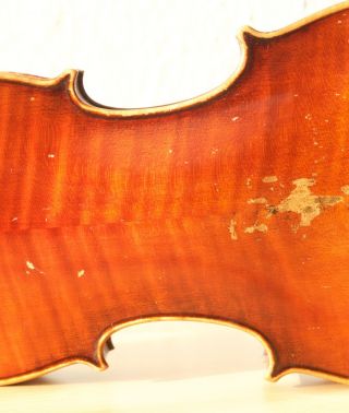 old violin 4/4 geige viola cello fiddle label POLLASTRI GAETANO 9