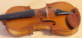 old violin 4/4 geige viola cello fiddle label DEGANI GIULIO di EUGENIO 11