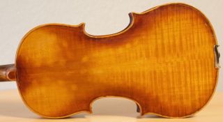 Old Violin 4/4 Geige Viola Cello Fiddle Label Degani Giulio Di Eugenio
