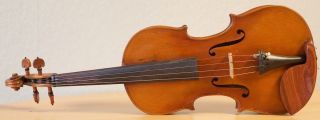 old violin 4/4 geige viola cello fiddle label DEGANI GIULIO di EUGENIO 2