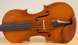 old violin 4/4 geige viola cello fiddle label DEGANI GIULIO di EUGENIO 3