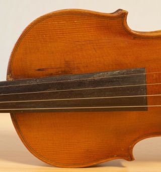 old violin 4/4 geige viola cello fiddle label DEGANI GIULIO di EUGENIO 4
