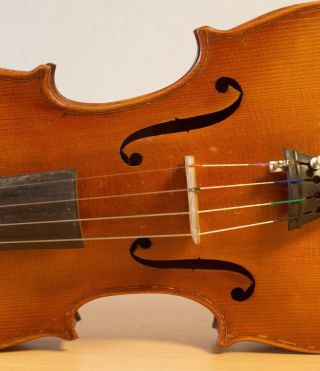 old violin 4/4 geige viola cello fiddle label DEGANI GIULIO di EUGENIO 5