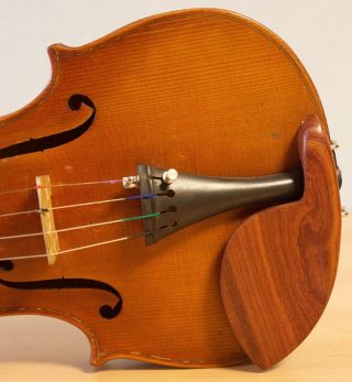 old violin 4/4 geige viola cello fiddle label DEGANI GIULIO di EUGENIO 6