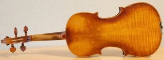 old violin 4/4 geige viola cello fiddle label DEGANI GIULIO di EUGENIO 7