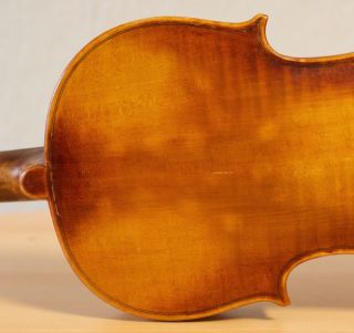 old violin 4/4 geige viola cello fiddle label DEGANI GIULIO di EUGENIO 8