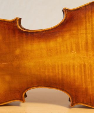 old violin 4/4 geige viola cello fiddle label DEGANI GIULIO di EUGENIO 9