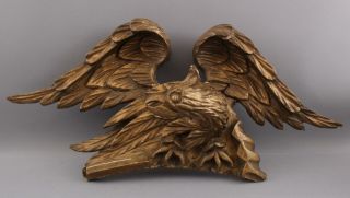 Circa - 1820s Antique Federal Period,  23in Folk Art Carved Wood American Eagle NR 2
