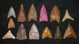 13 Triangular Sn Projectile Points,  Some Good Color And Styles