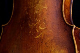 Very Old Labelled Vintage Violin " Nicolaus Bergonzi " 小提琴 скрипка ヴァイオリンgeige