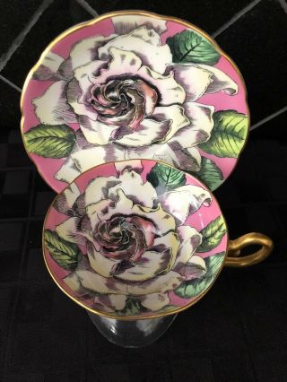 Taylor & Kent Tea Cup & Saucer Cabbage Rose England Bone China
