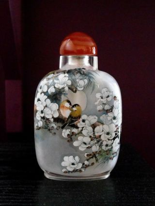 Vintage Chinese 4” Snuff Bottle - Double Reverse Hand Painted Glass Signed