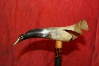Heavy Horn Carved & Decorated Bird Handled Cane W/Glass Eyes 7
