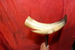 Heavy Horn Carved & Decorated Bird Handled Cane W/Glass Eyes 8