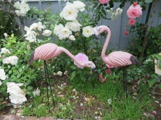 Omg Pair Old Vintage Metal Baby Pink Flamingoes With Legs Garden Decor