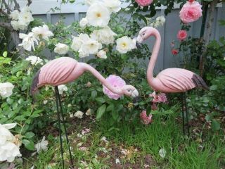 OMG PAIR Old Vintage Metal BABY PINK FLAMINGOES with Legs GARDEN DECOR 2